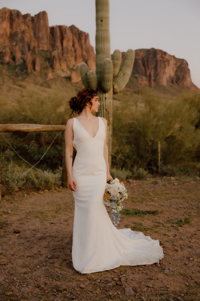 bride standing in the desert