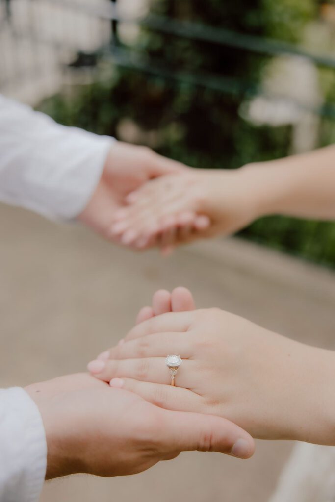 the lalumondiere engagement photos