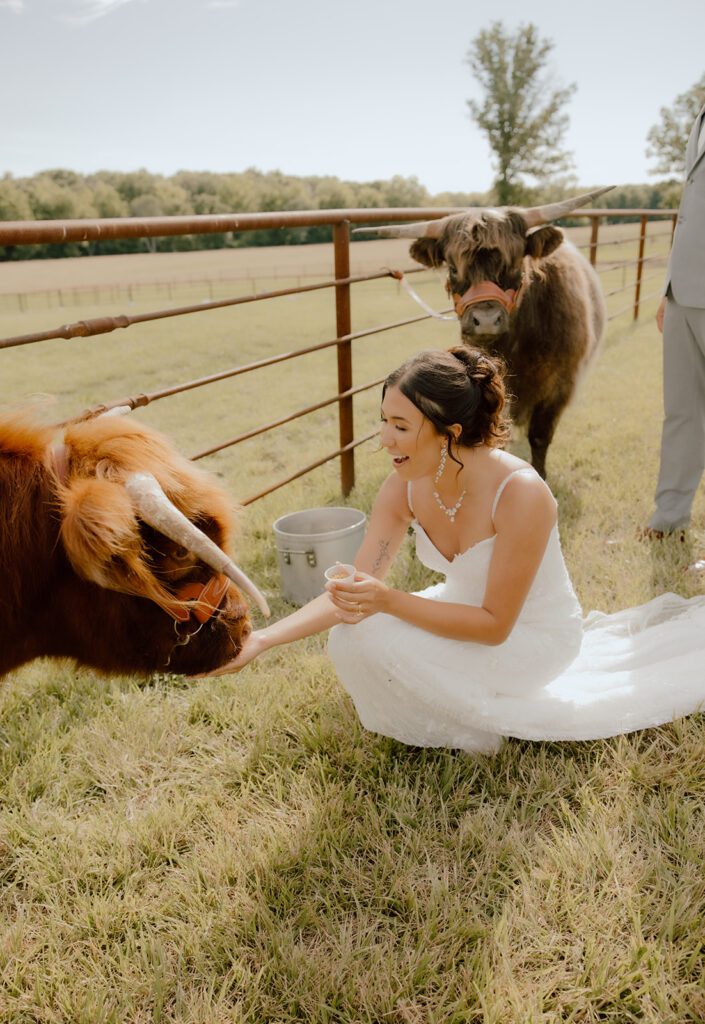 Red Oak Valley wedding venue 